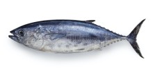 マグロ1本買いで食べ放題を開催します。 カウントダウン10日！いよいよ始まります。 ご予約はお早めに！ カニもステーキもお好きなだけどうぞ！！ 夏スイーツフェアも開催中